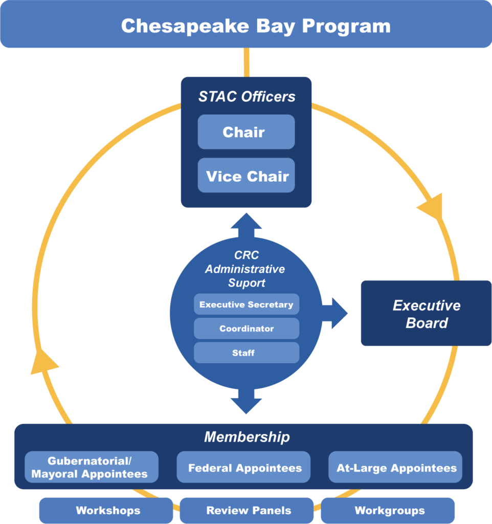 Diagram that provides an overview of STAC’s structural organization.